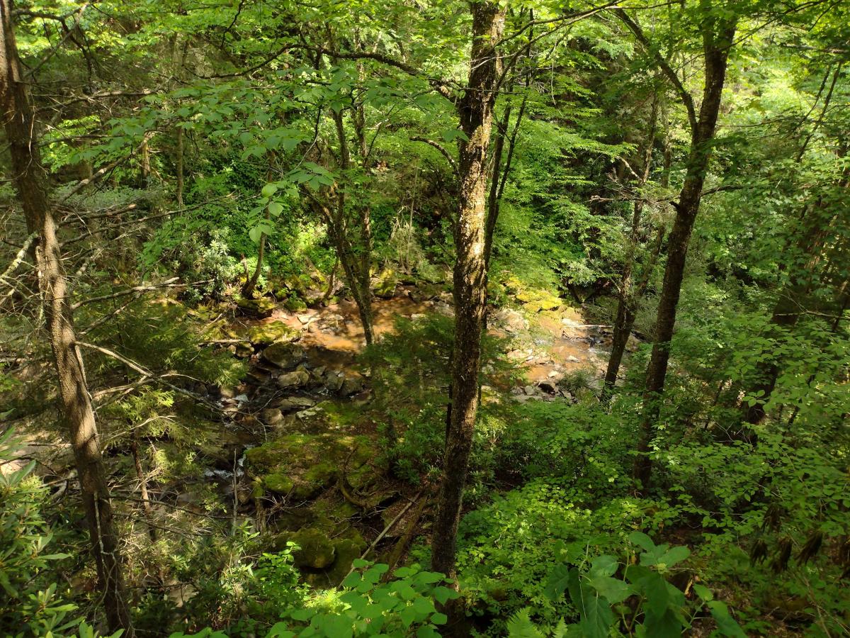 Click image for larger version

Name:	IMG_20230613_142842284.jpg
Views:	154
Size:	322.3 KB
ID:	28699