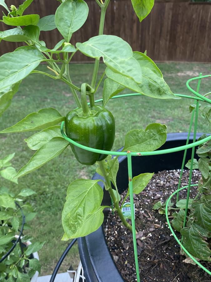 Click image for larger version

Name:	IMG_6857.jpeg
Views:	131
Size:	109.1 KB
ID:	28729