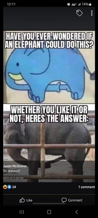 Click image for larger version

Name:	IMG_5522.jpeg
Views:	84
Size:	46.5 KB
ID:	28780