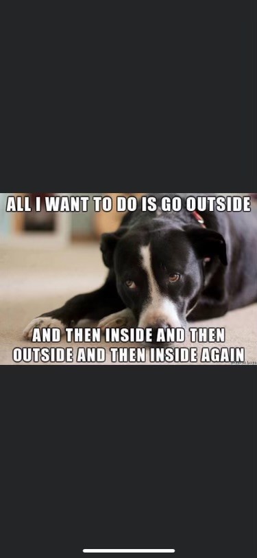 Click image for larger version

Name:	IMG_0140.jpeg
Views:	131
Size:	34.3 KB
ID:	28886