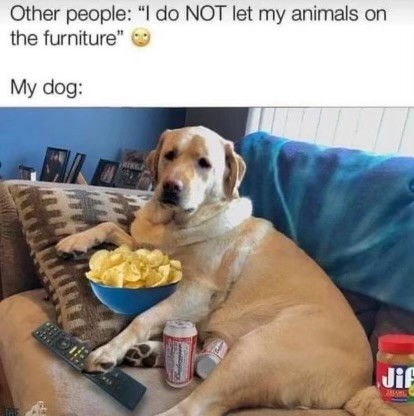 Click image for larger version

Name:	IMG_9865.jpeg
Views:	134
Size:	41.9 KB
ID:	28888