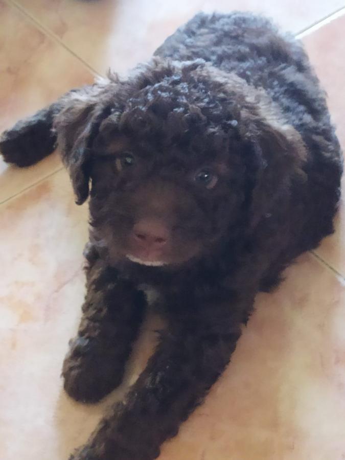 Click image for larger version

Name:	Sisu-day1.jpeg
Views:	121
Size:	45.7 KB
ID:	28907