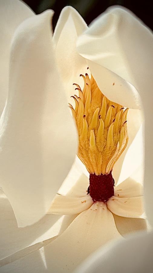 Click image for larger version

Name:	IMG_8392.jpeg
Views:	110
Size:	39.4 KB
ID:	28958