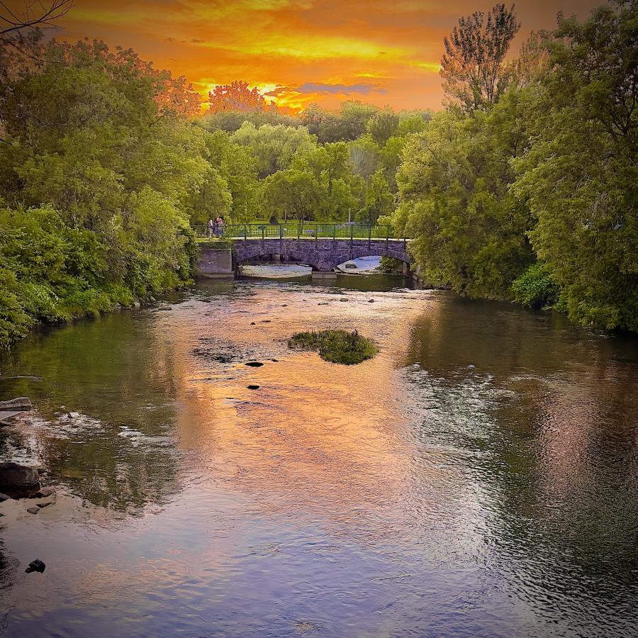 Click image for larger version

Name:	IMG_8764.jpeg
Views:	100
Size:	216.6 KB
ID:	28973