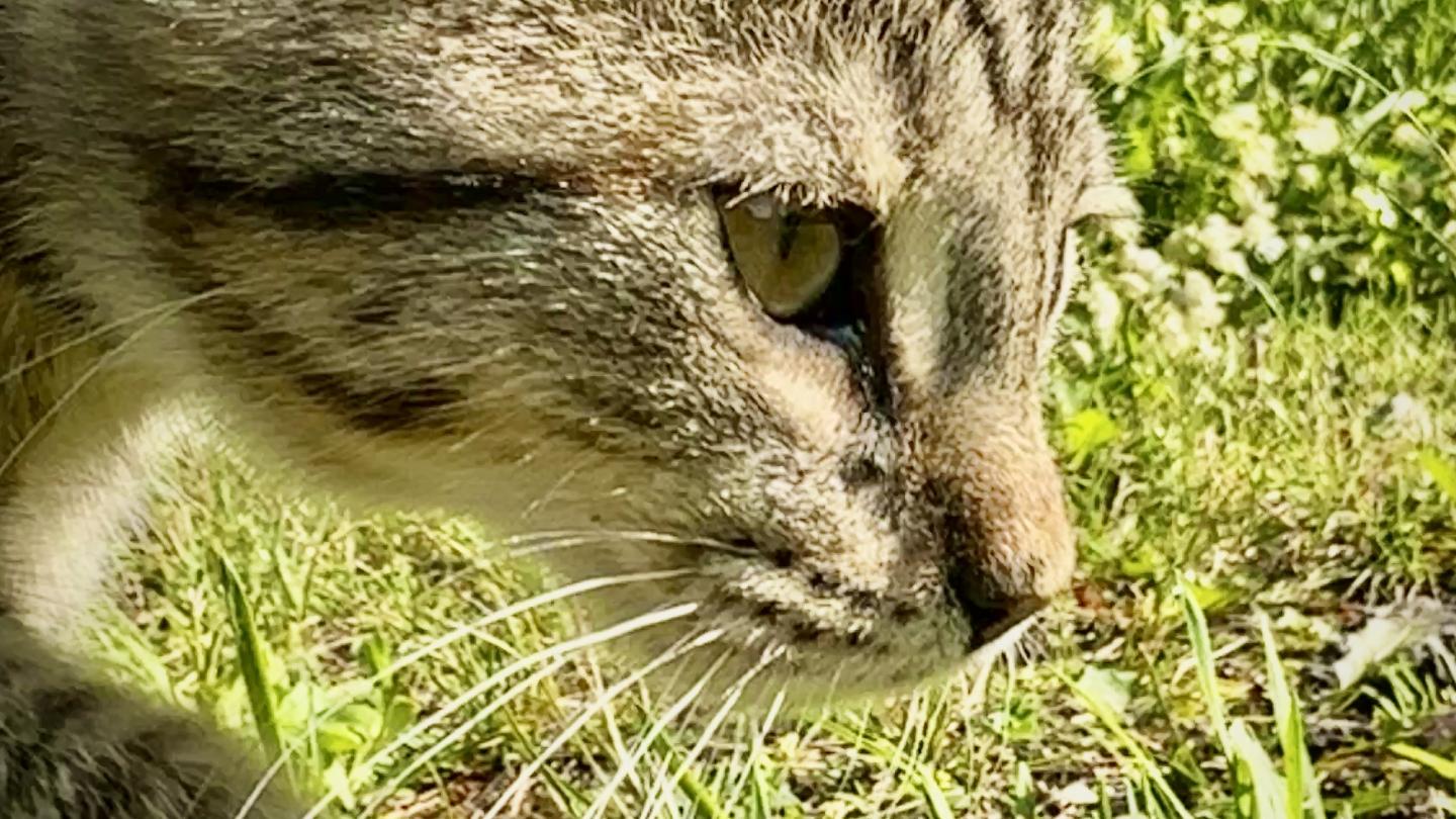 Click image for larger version

Name:	IMG_8966.jpeg
Views:	97
Size:	206.2 KB
ID:	28978