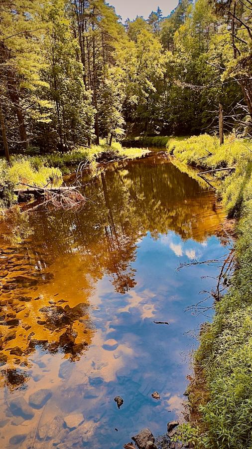 Click image for larger version

Name:	IMG_9024.jpeg
Views:	103
Size:	161.2 KB
ID:	28979