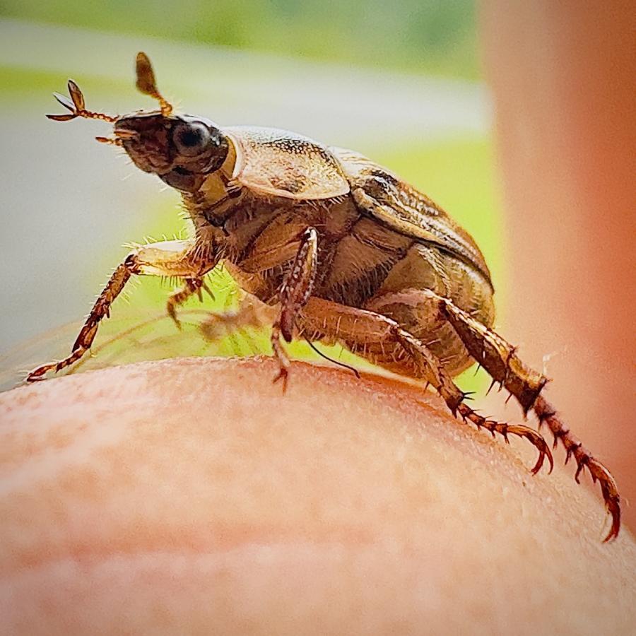 Click image for larger version

Name:	IMG_9061.jpeg
Views:	94
Size:	97.7 KB
ID:	28982