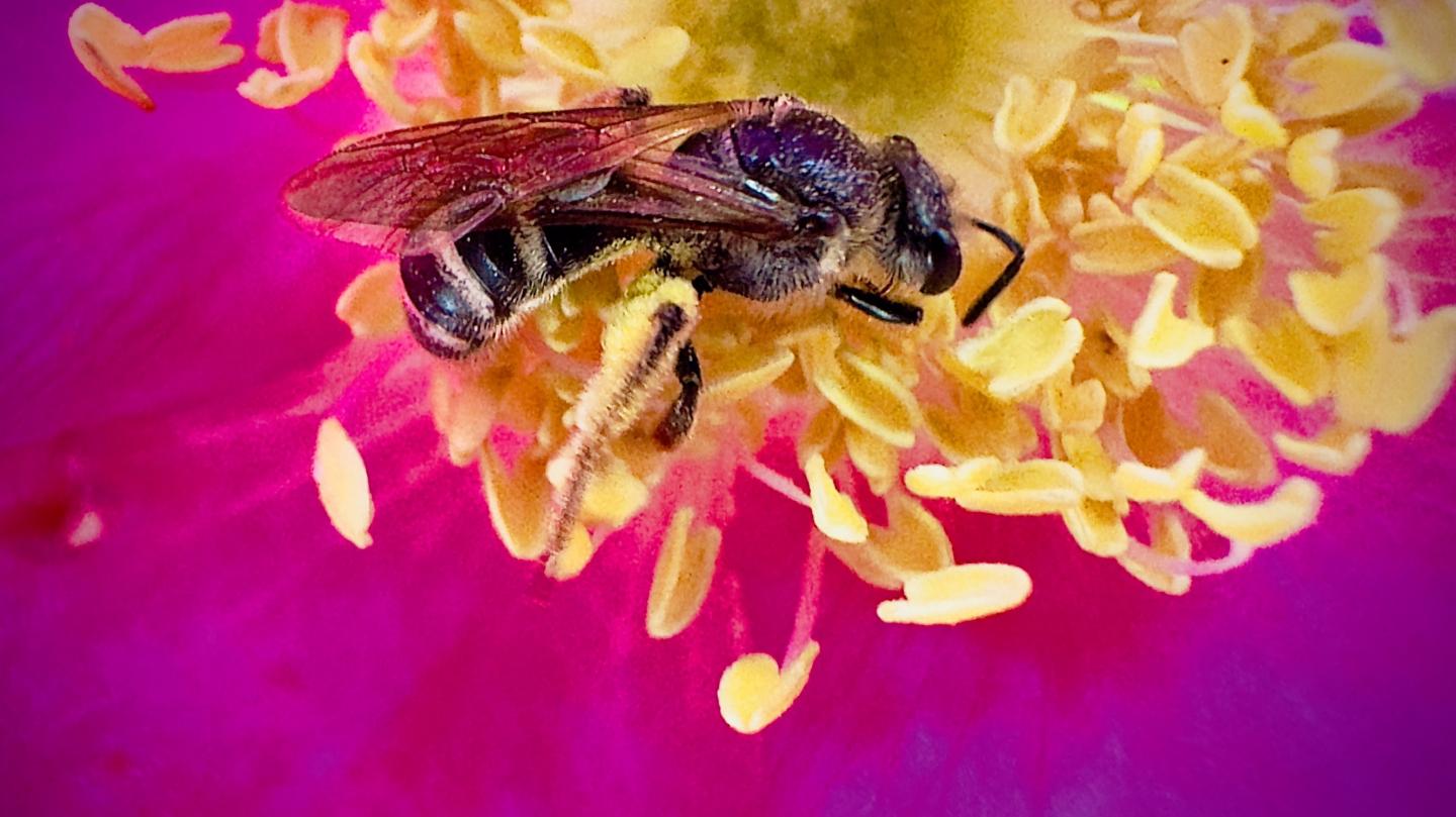 Click image for larger version

Name:	IMG_9114.jpeg
Views:	106
Size:	127.2 KB
ID:	28983