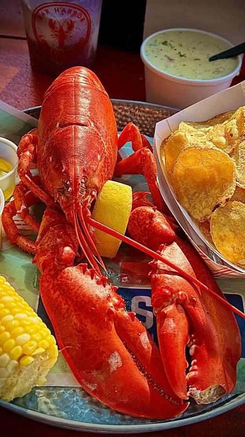 Click image for larger version

Name:	IMG_9264.jpeg
Views:	98
Size:	108.1 KB
ID:	28988