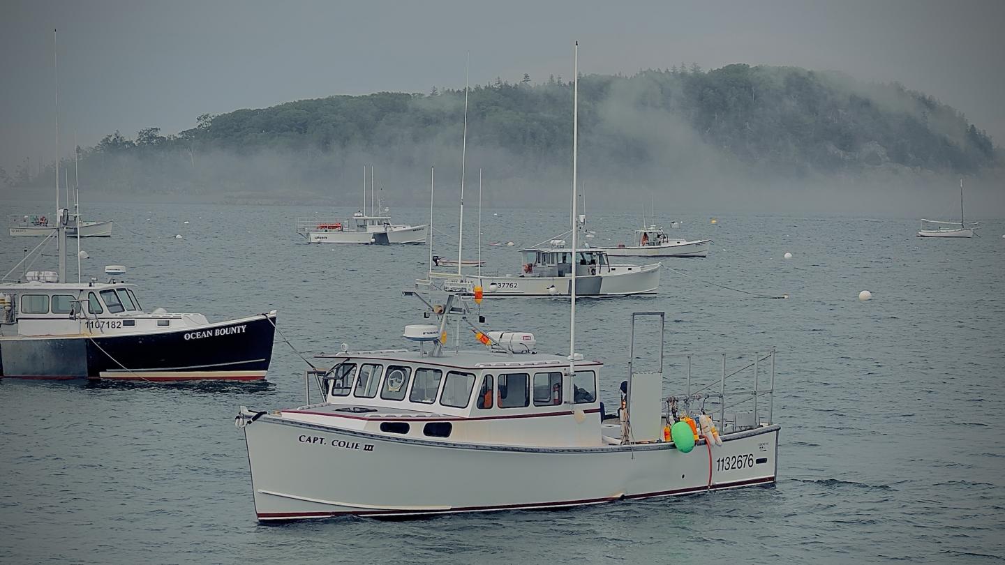 Click image for larger version

Name:	IMG_9281.jpeg
Views:	98
Size:	148.2 KB
ID:	28989