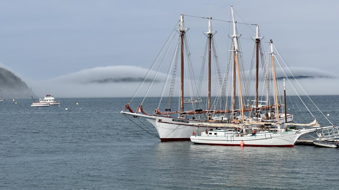 Click image for larger version

Name:	IMG_9284.jpeg
Views:	93
Size:	156.3 KB
ID:	28991