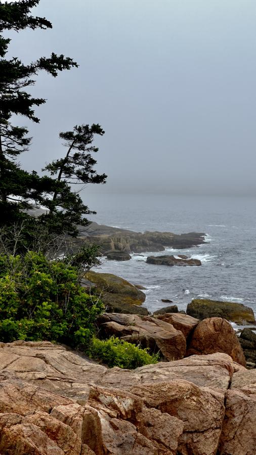 Click image for larger version

Name:	IMG_9342.jpeg
Views:	96
Size:	88.7 KB
ID:	28992