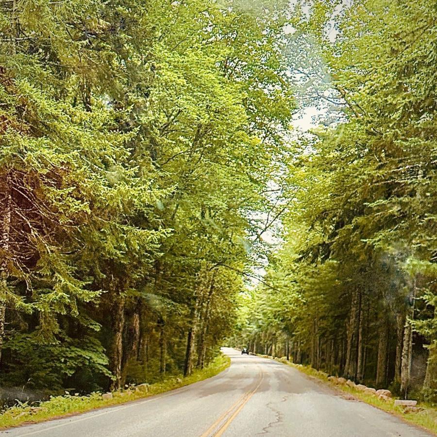 Click image for larger version

Name:	IMG_9531.jpeg
Views:	93
Size:	262.4 KB
ID:	28994