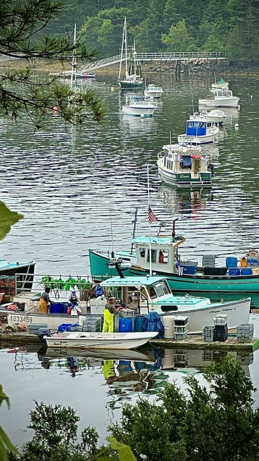 Click image for larger version

Name:	IMG_9538.jpeg
Views:	96
Size:	152.5 KB
ID:	28995