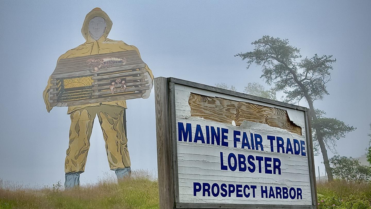 Click image for larger version

Name:	IMG_9573.jpeg
Views:	93
Size:	194.5 KB
ID:	28996