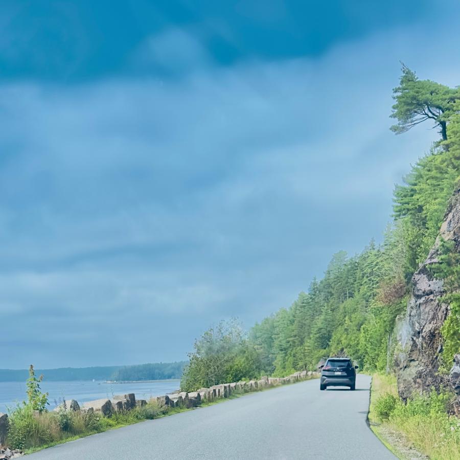 Click image for larger version

Name:	IMG_9546.jpeg
Views:	94
Size:	76.1 KB
ID:	28998