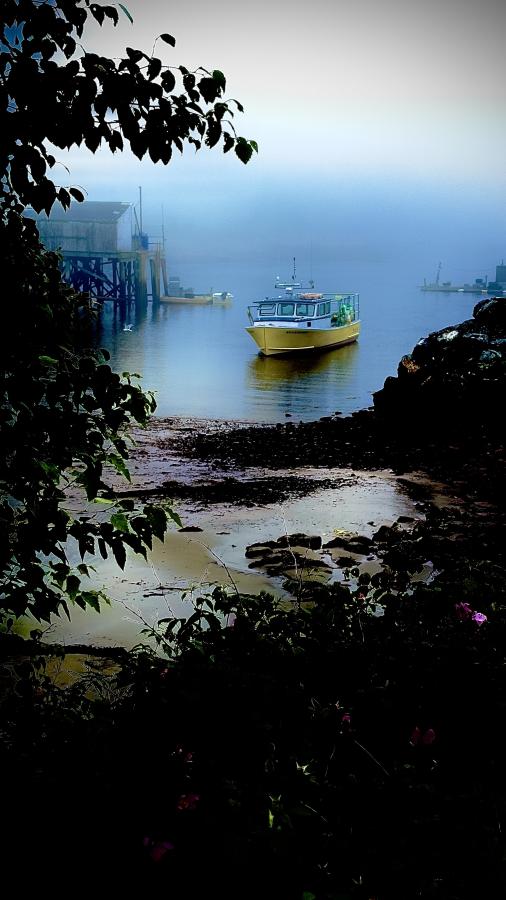 Click image for larger version

Name:	IMG_9583.jpeg
Views:	95
Size:	68.3 KB
ID:	29000