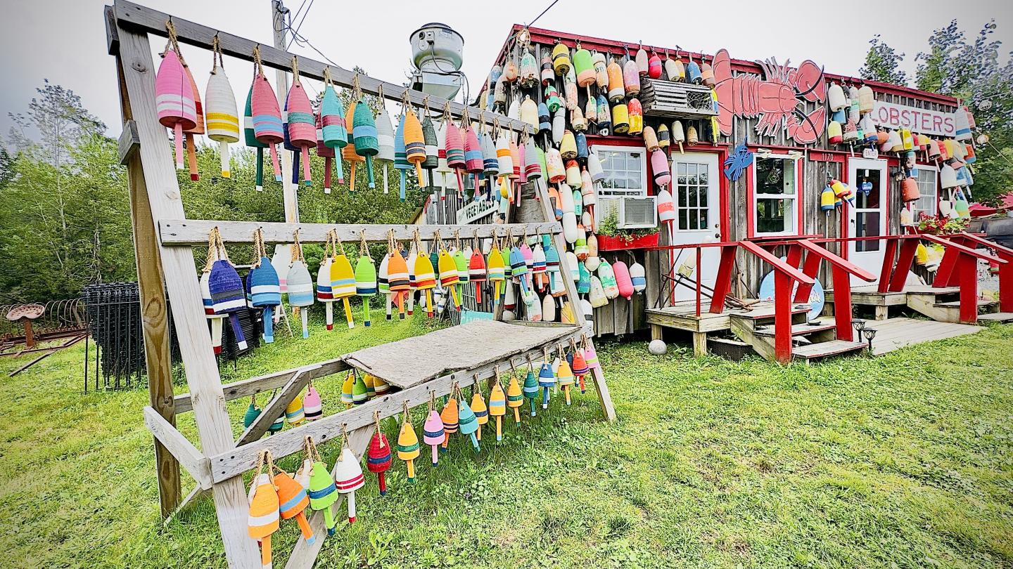 Click image for larger version

Name:	IMG_9598.jpeg
Views:	104
Size:	416.7 KB
ID:	29003