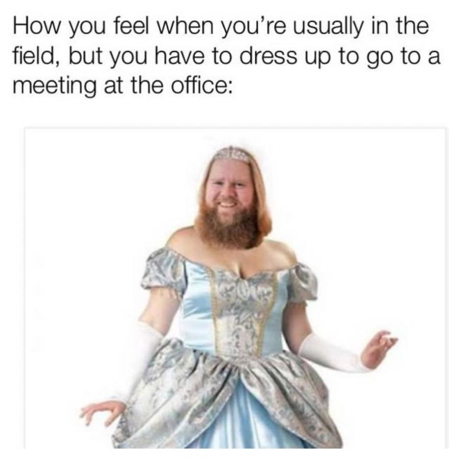 Click image for larger version

Name:	Screenshot_20230722_171503_Instagram.jpg
Views:	86
Size:	53.8 KB
ID:	29028