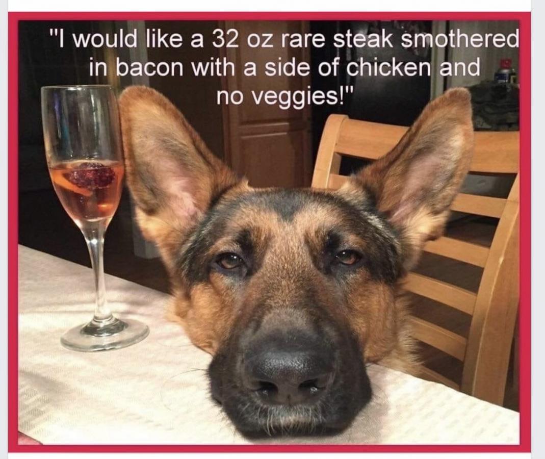 Click image for larger version

Name:	IMG_0133.jpeg
Views:	115
Size:	116.2 KB
ID:	29158