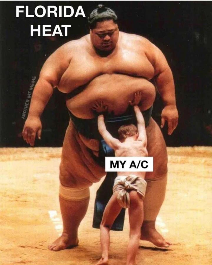 Click image for larger version  Name:	Screenshot_20230812_232426_Instagram.jpg Views:	0 Size:	70.4 KB ID:	29257