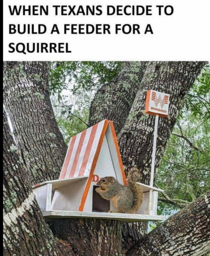 Click image for larger version

Name:	30474031662530-jpeg.108983.jpeg
Views:	71
Size:	136.8 KB
ID:	29279