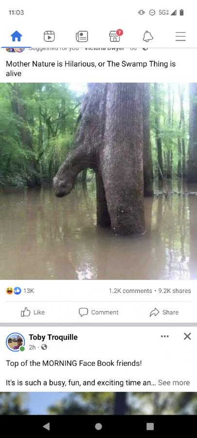 Click image for larger version

Name:	Screenshot_20230816-110347.png
Views:	68
Size:	352.6 KB
ID:	29286