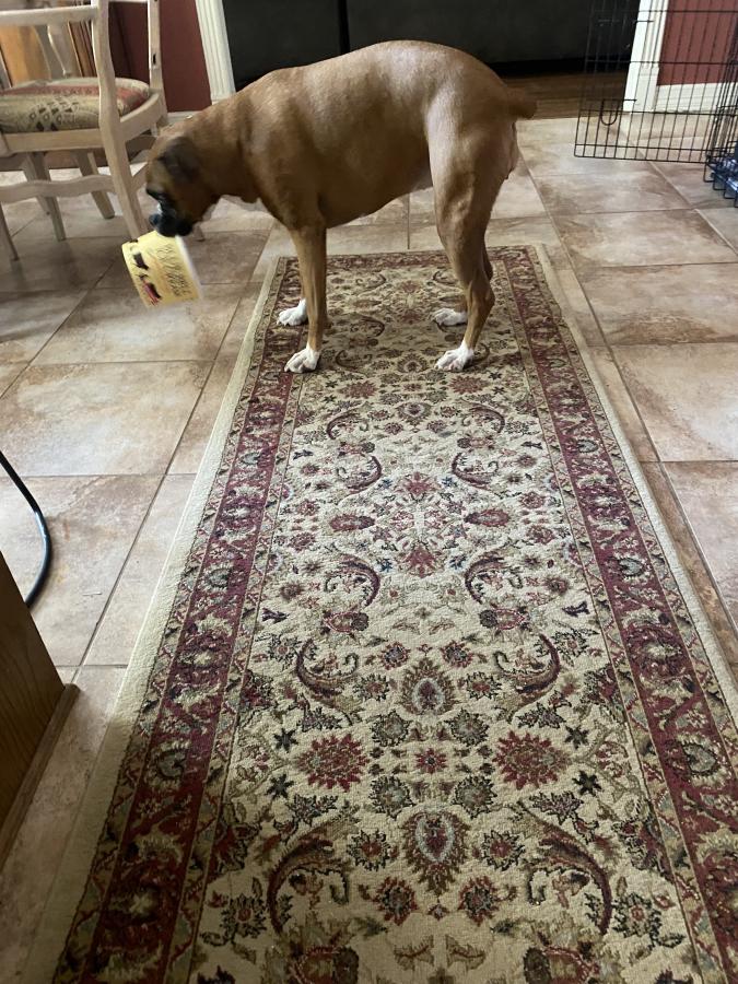 Click image for larger version

Name:	IMG_0758.jpeg
Views:	100
Size:	151.2 KB
ID:	29290