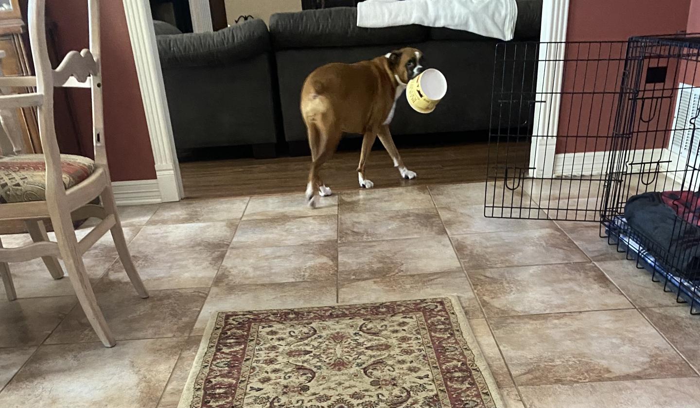 Click image for larger version

Name:	FullSizeRender.jpeg
Views:	100
Size:	192.8 KB
ID:	29292