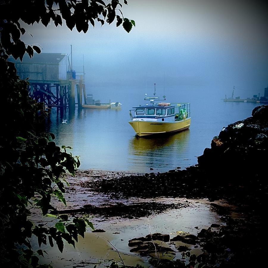 Click image for larger version

Name:	IMG_9583.jpeg
Views:	77
Size:	120.3 KB
ID:	29315