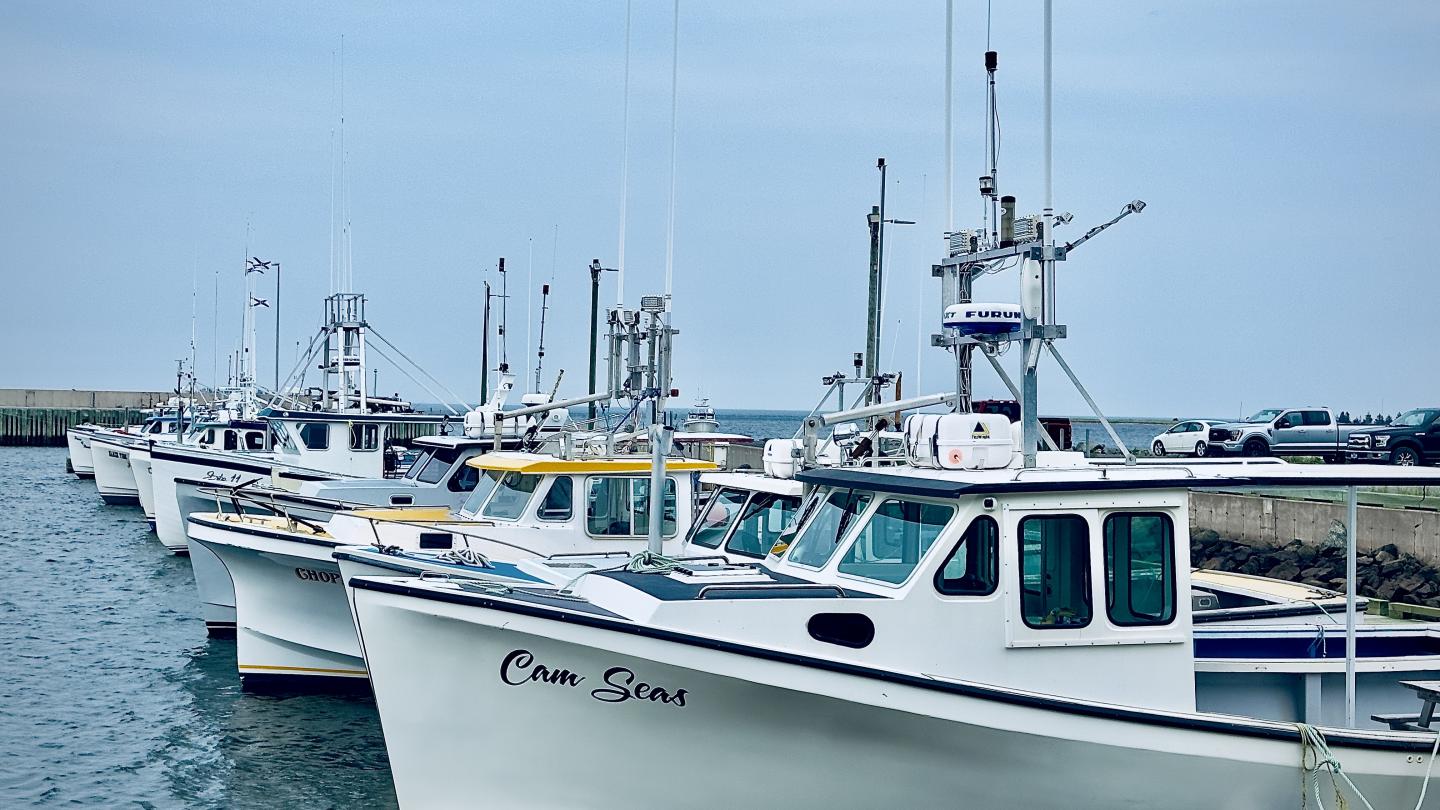 Click image for larger version

Name:	IMG_9925.jpeg
Views:	76
Size:	175.6 KB
ID:	29322