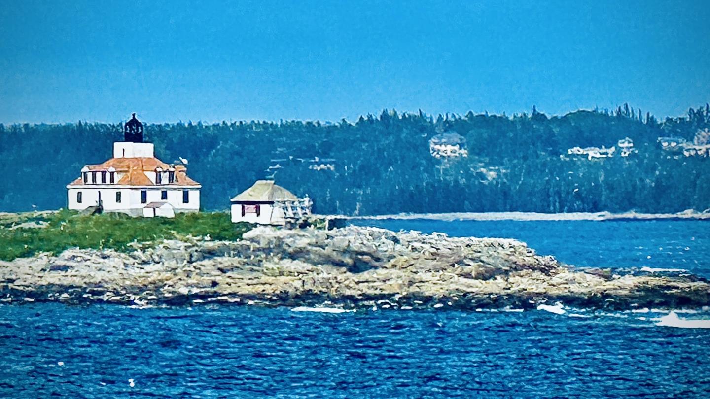 Click image for larger version

Name:	IMG_9850.jpeg
Views:	76
Size:	193.5 KB
ID:	29323