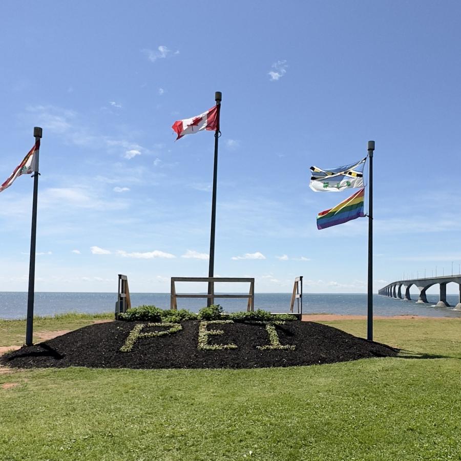 Click image for larger version

Name:	IMG_9993.jpeg
Views:	74
Size:	105.2 KB
ID:	29324