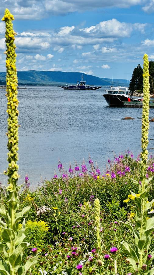 Click image for larger version

Name:	IMG_0307.jpeg
Views:	83
Size:	127.3 KB
ID:	29334