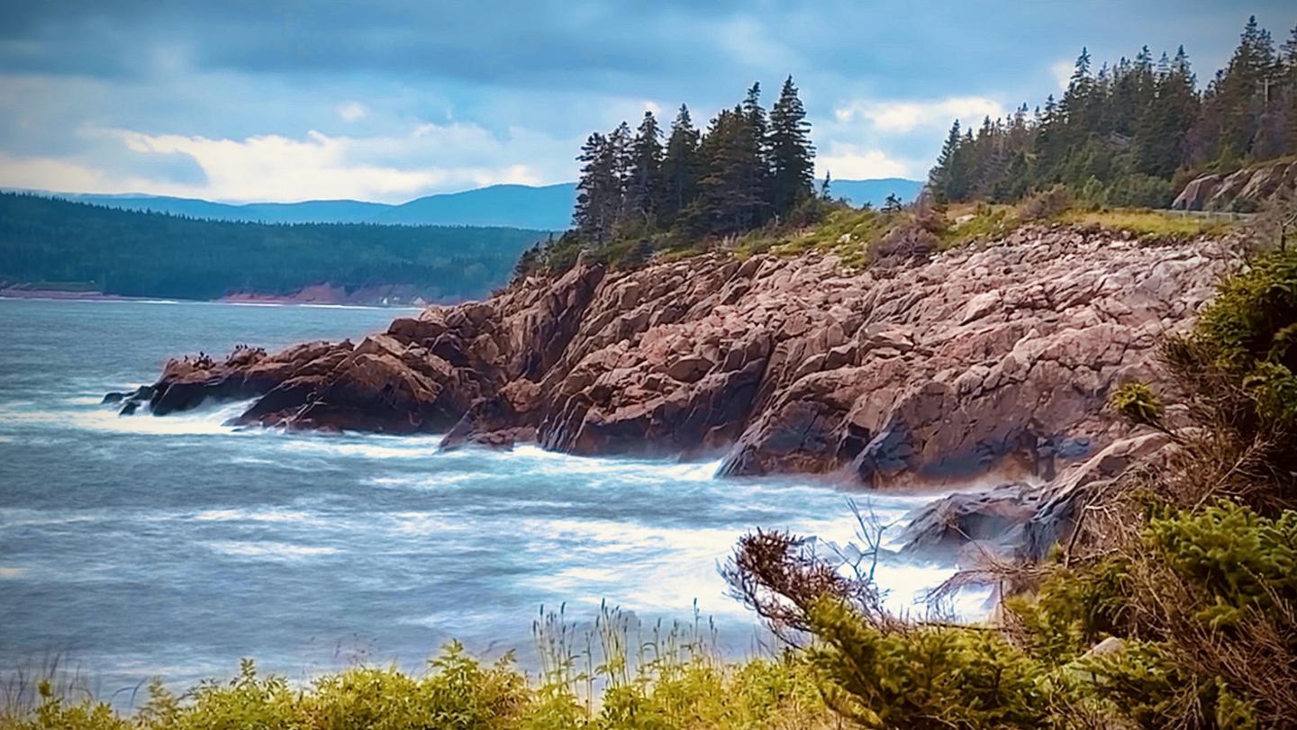 Click image for larger version

Name:	IMG_0408.jpeg
Views:	80
Size:	199.8 KB
ID:	29335