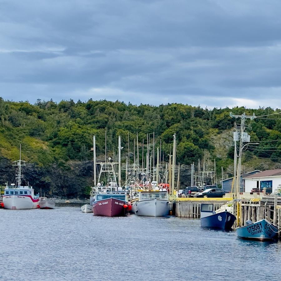 Click image for larger version

Name:	IMG_0711.jpeg
Views:	73
Size:	140.9 KB
ID:	29344