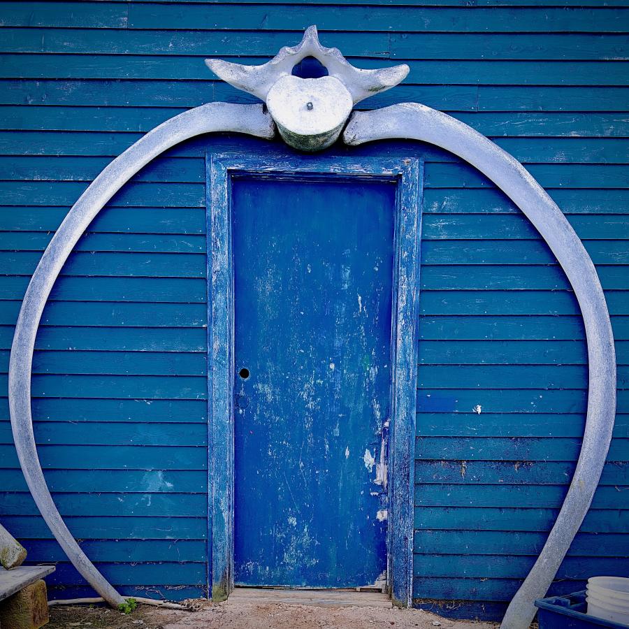 Click image for larger version

Name:	IMG_0696.jpeg
Views:	77
Size:	164.6 KB
ID:	29345