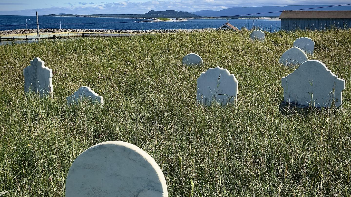 Click image for larger version

Name:	IMG_0842.jpeg
Views:	77
Size:	439.8 KB
ID:	29349