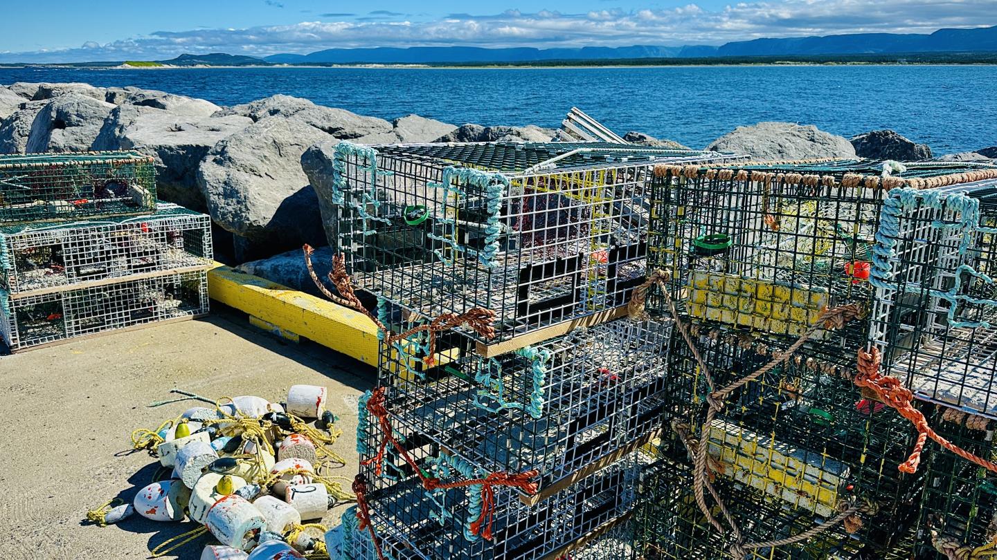 Click image for larger version

Name:	IMG_0823.jpeg
Views:	74
Size:	398.0 KB
ID:	29351