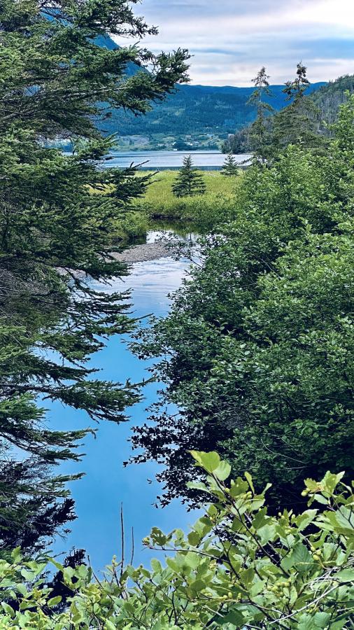 Click image for larger version

Name:	IMG_0779.jpeg
Views:	78
Size:	162.5 KB
ID:	29352