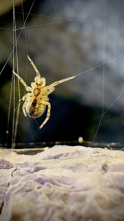 Click image for larger version

Name:	IMG_0829.jpeg
Views:	75
Size:	55.9 KB
ID:	29353