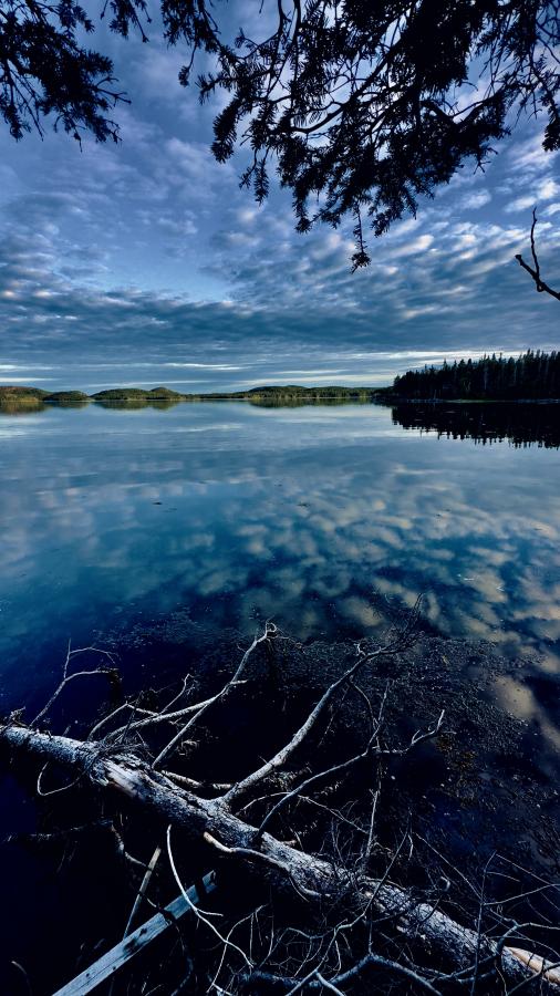 Click image for larger version

Name:	IMG_1053.jpeg
Views:	78
Size:	96.9 KB
ID:	29357