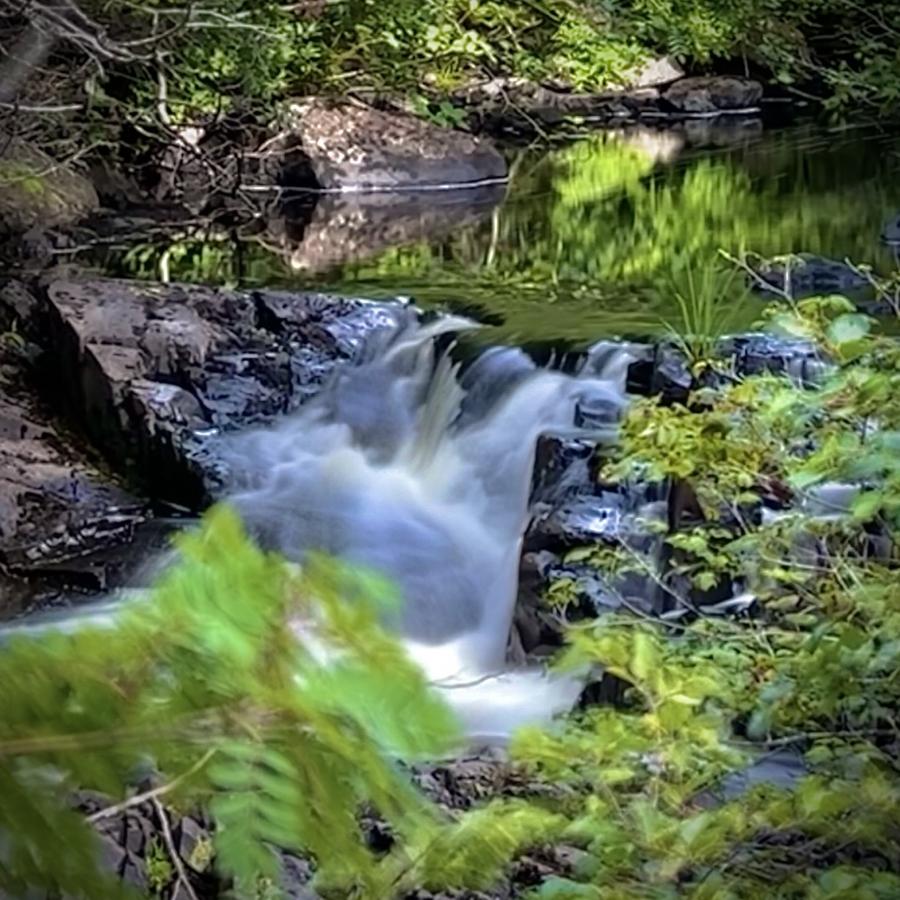 Click image for larger version

Name:	IMG_1182.jpeg
Views:	74
Size:	133.3 KB
ID:	29363