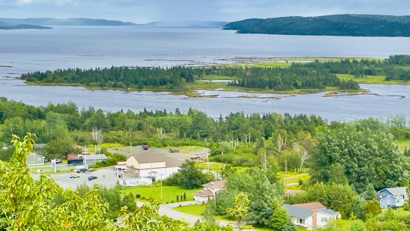 Click image for larger version

Name:	IMG_1323.jpeg
Views:	73
Size:	205.5 KB
ID:	29369