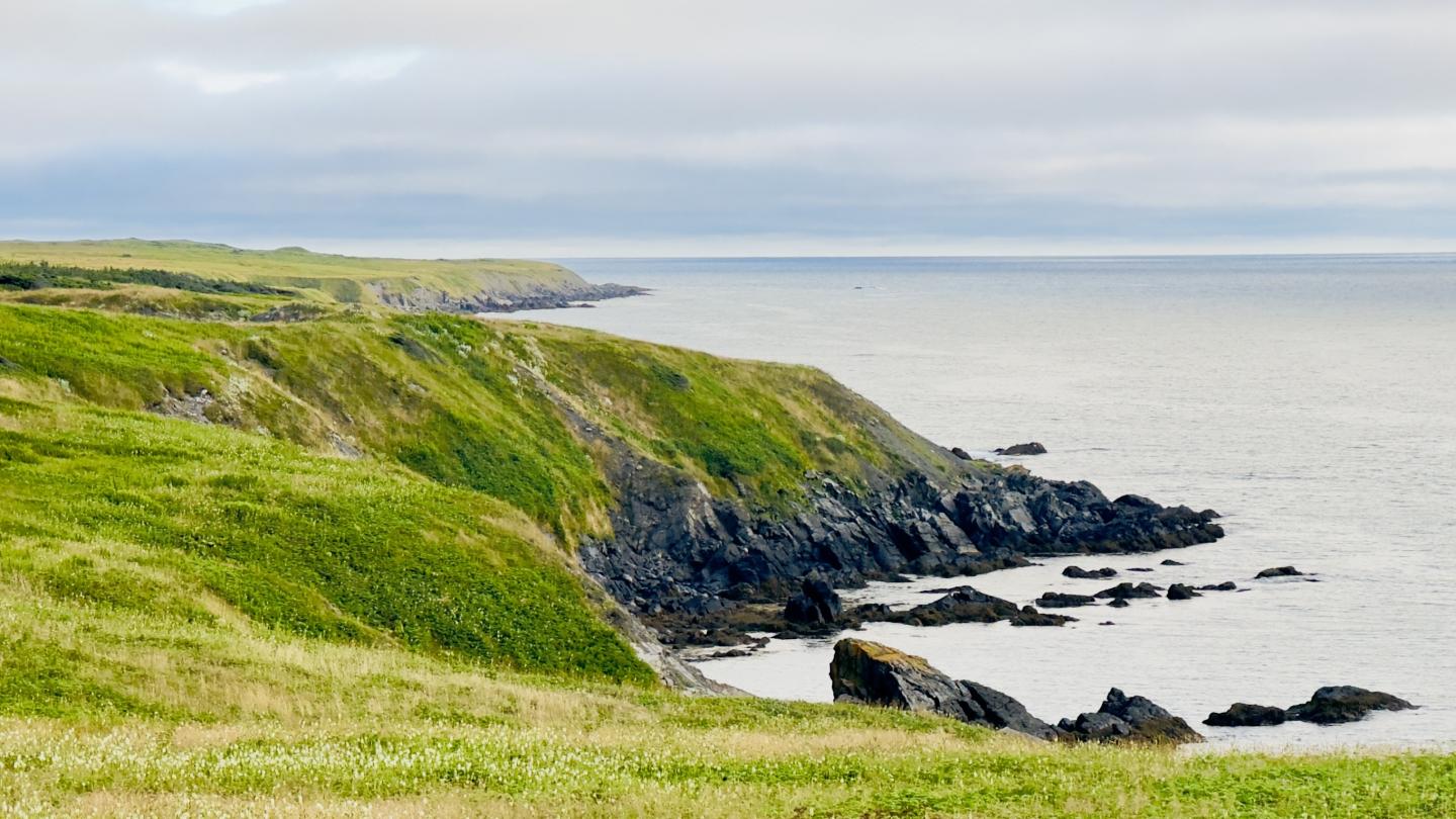 Click image for larger version

Name:	IMG_1330.jpeg
Views:	70
Size:	174.2 KB
ID:	29374