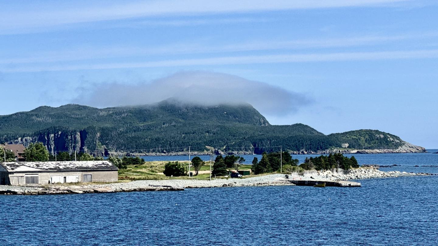 Click image for larger version

Name:	IMG_1348.jpeg
Views:	66
Size:	204.3 KB
ID:	29377