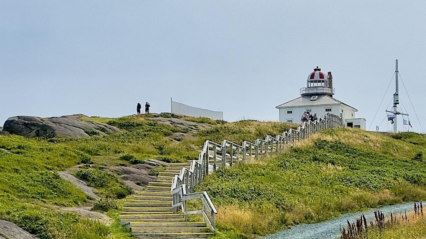 Click image for larger version

Name:	IMG_1406.jpeg
Views:	70
Size:	233.9 KB
ID:	29382