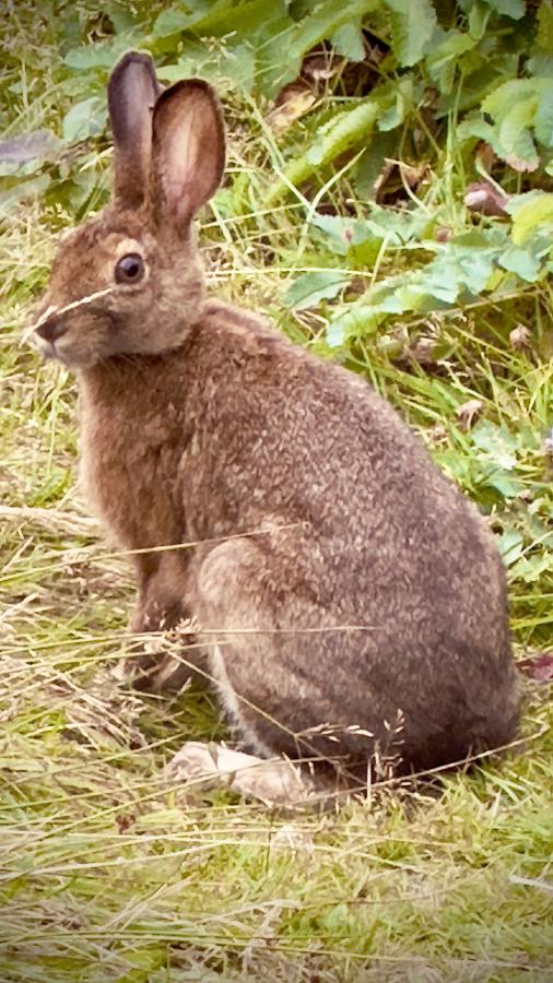 Click image for larger version

Name:	IMG_1505.jpeg
Views:	73
Size:	103.2 KB
ID:	29384