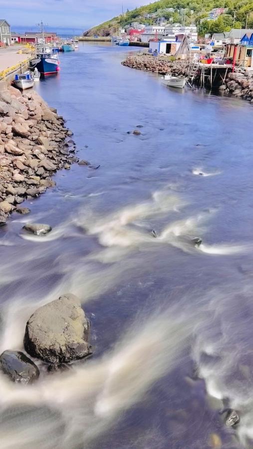 Click image for larger version

Name:	IMG_1418.jpeg
Views:	72
Size:	66.8 KB
ID:	29385