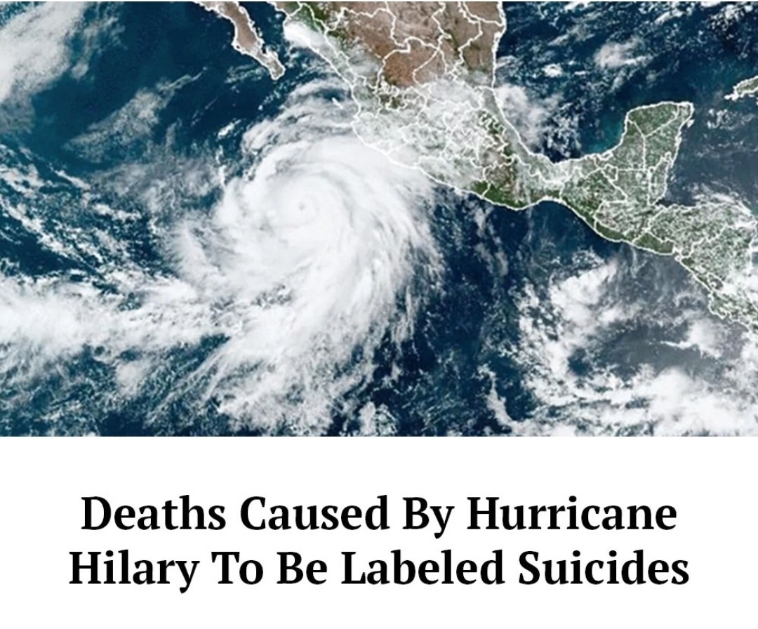 Click image for larger version

Name:	Screenshot_20230819_144201_Instagram.jpg
Views:	106
Size:	217.8 KB
ID:	29402